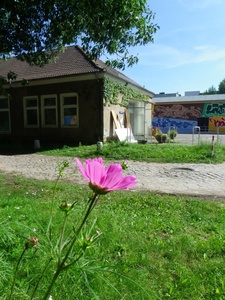 freiLand-Außengelände-Visionsworkshop