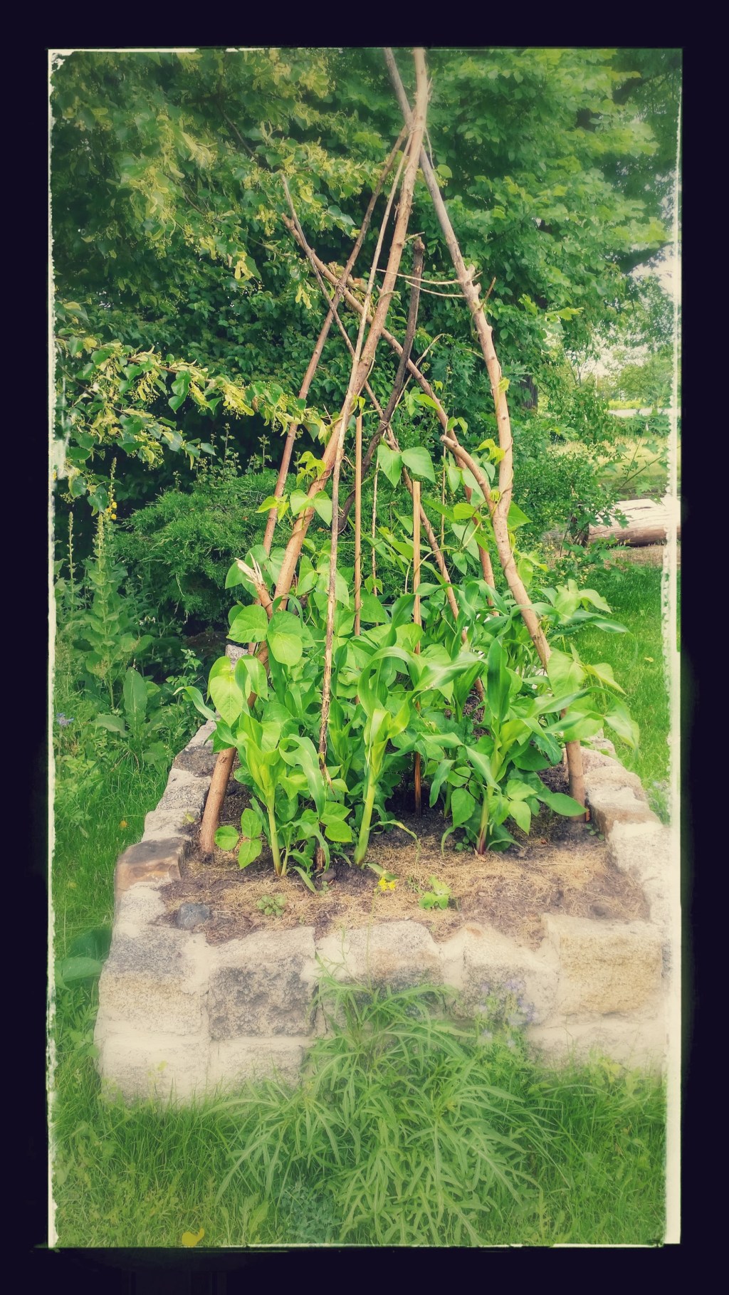 Ideen zum Nachmachen#5&nbsp;MILPA