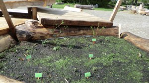 Schmetterlingstankstelle