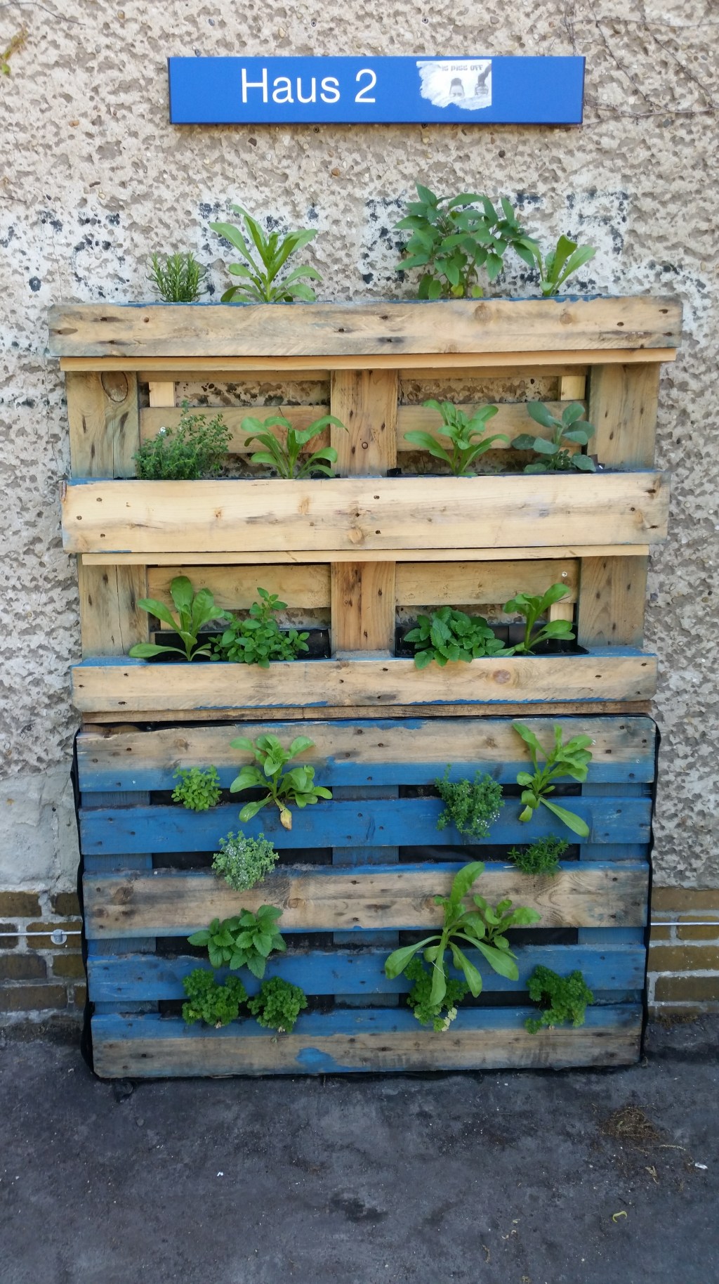 IDEEN ZUM NACHMACHEN#8: Vertikales&nbsp;Gärtnern