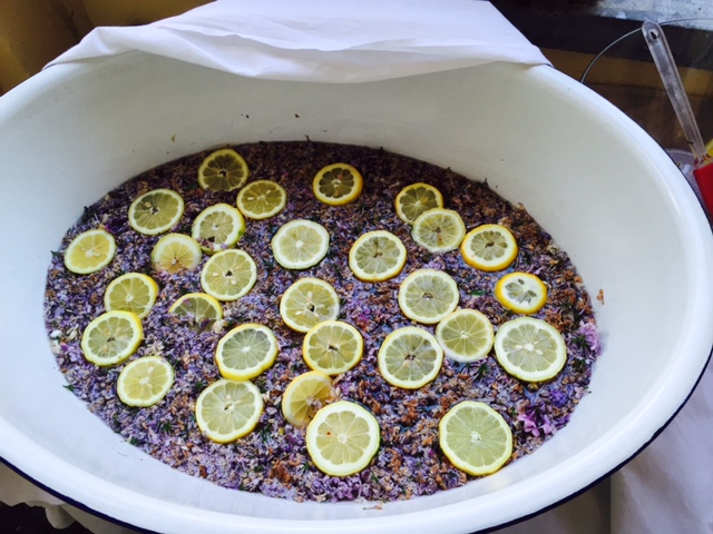 IDEEN ZUM NACHMACHEN#10:&nbsp;Fliedersirup